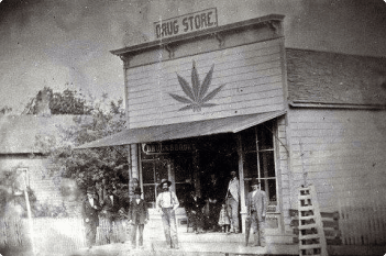 Alabama cannabis history